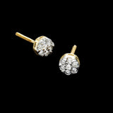 14K Yellow Gold Flower Round Cluster 0.29 ctw. Round Diamond Earrings