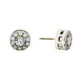 14K White Gold Classic Round Cluster 3.10 ctw. Round Diamond Earrings